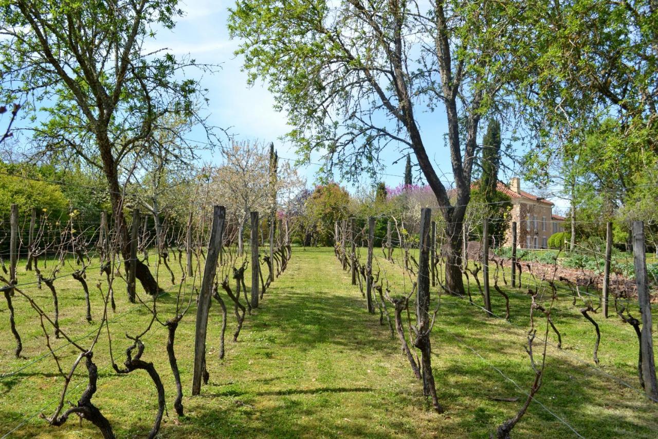 Chambre D'Hote Au Domaine Terre De Chenes Saint-Paul-de-Baise Exterior foto
